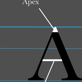 Typography 1 UNL Project